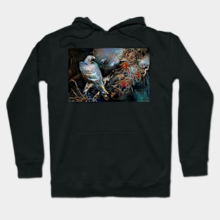 Hawk Hoodie